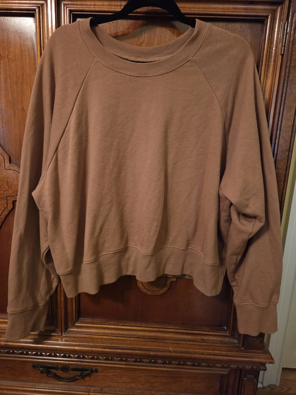 Torrid Cropped Crewneck French Terry Sweatshirt in Tobacco Brown Size 3 (22/24)